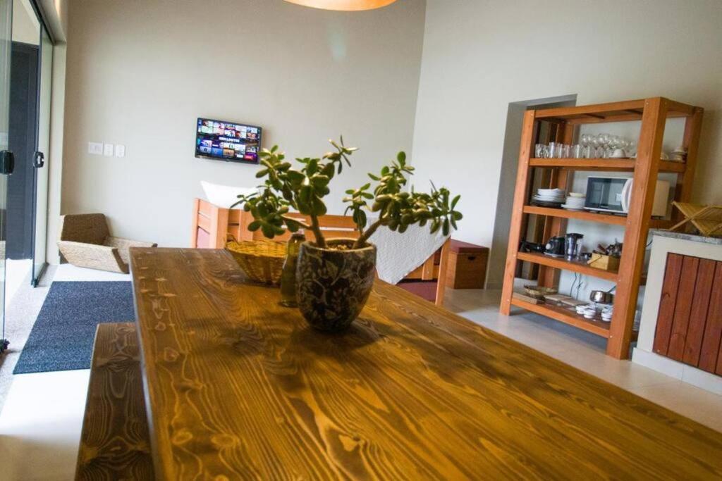 Novo-Refugio Do Arquiteto - Casa Coqueiro, 4 Minutos Caminhando Ate A Praia Sao Sebastiao  Exteriör bild